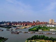 海南花卉苗木產業(yè)發(fā)展規(guī)劃：將選育自主知識產權花卉新品種