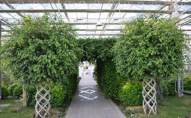 新疆昌吉國(guó)家農(nóng)業(yè)科技園創(chuàng)建國(guó)家農(nóng)業(yè)高新區(qū)