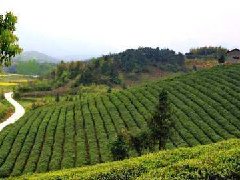 安陽(yáng)召開合金新材料產(chǎn)業(yè)園規(guī)劃建設(shè)協(xié)調(diào)推進(jìn)會(huì)