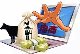 汪向東:農(nóng)村電商的新進展和新趨勢