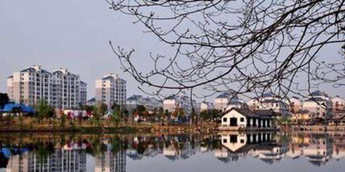 定遠經(jīng)開區(qū)改革與創(chuàng)新助推轉(zhuǎn)型升級