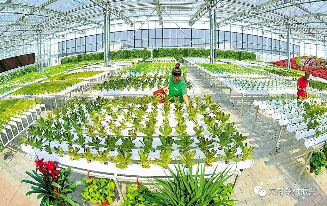 發改委點贊休閑農業:農村一二三產融合發展報告出爐