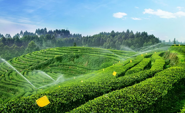 2019年國家先給錢后建設的4類農業產業項目，最多補貼1個億