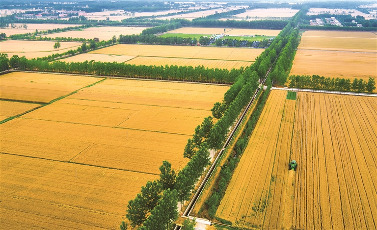 江蘇：魚米之鄉，鄉村產業動能澎湃