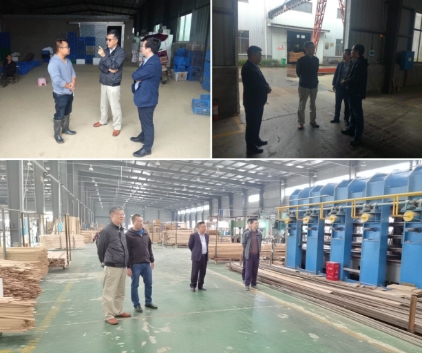 集聚頭腦風暴，為高質量編制桃江“十四五”規劃建言獻策