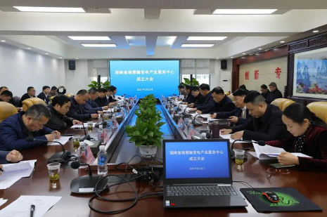 湘雁輸變電產業服務中心在長沙成立，湖南輸變電產業開啟發展新篇章