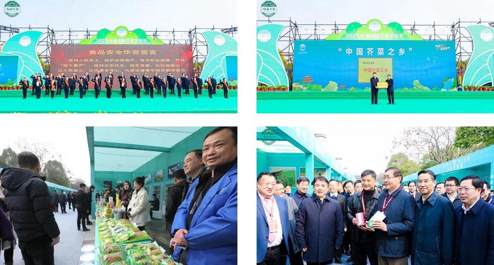 華容芥菜香飄四海,創建國家現代農業產業園恰逢其時