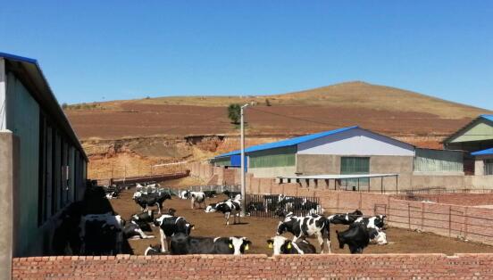 科右前旗農業現代化示范區創建按下“加速鍵”，吹響“集結號”